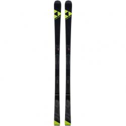 Горные лыжи Fischer RC4 Worldcup GS Masters Curv Booster, A03519 - фото