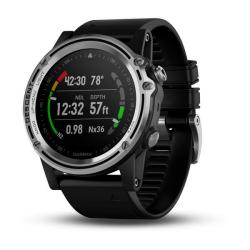 Часы GARMIN Descent Mk1 (Silver/Black Band) - фото