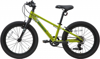 Велосипед Maxiscoo 5BIKE 20 M (2024) - фото