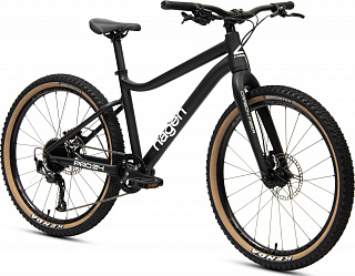 Велосипед Hagen Teen Pro 24 Carbon (2024) - фото