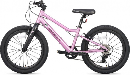Велосипед Maxiscoo 5Bike 20 L (2025) (Велосипед Maxiscoo 5bike 2025 Стандарт 20" Розовый Сапфир, MSC-M5-2013)