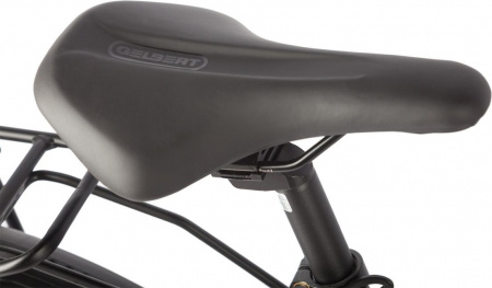 Электровелосипед Gelbert Ran Star 2 PRO (Электровелосипед Gelbert Ran Star 2 PRO Зеленый-2987 025461-2987)