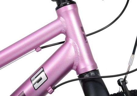 Велосипед Maxiscoo 5Bike 20 L (2025) (Велосипед Maxiscoo 5bike 2025 Стандарт 20" Розовый Сапфир, MSC-M5-2013)