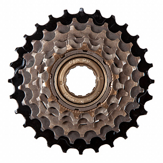 Трещотка FBS-02, 6ск - фото