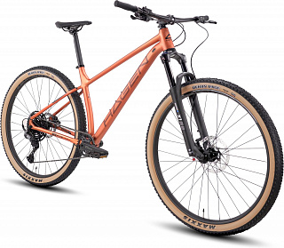 Велосипед Hagen 5.10 29 (2025) - фото